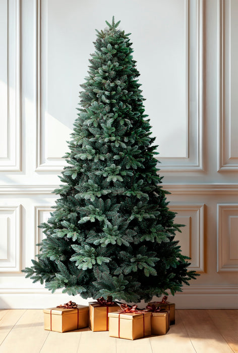 Blue Spruce - 150cm